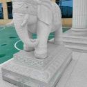 株洲 白麻花岗岩动物异形石雕-大象