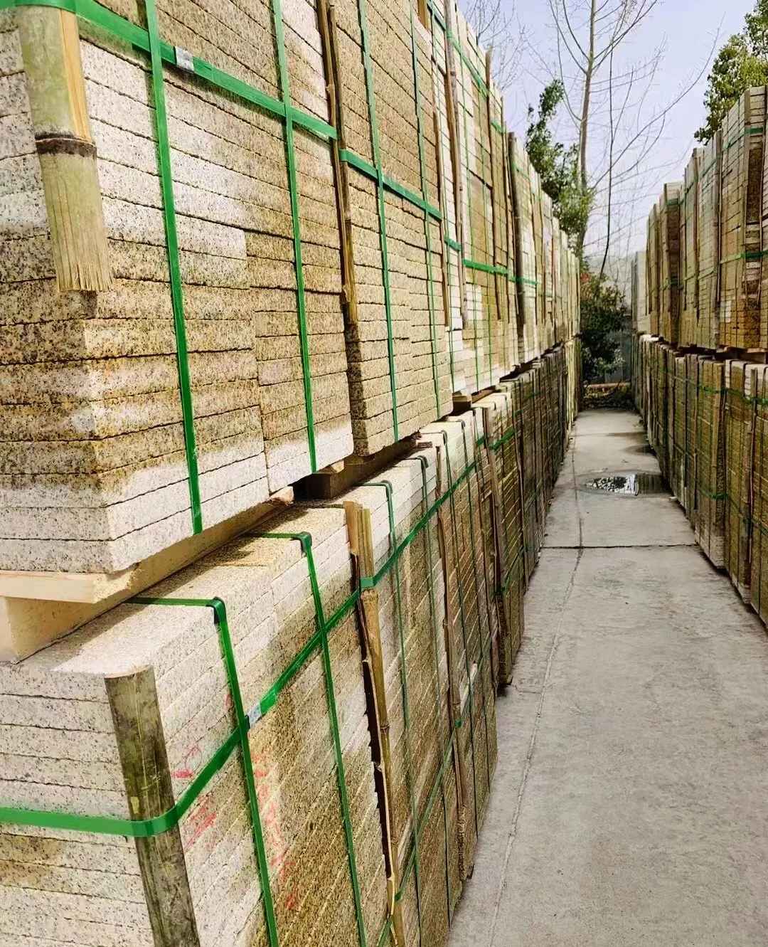 株洲 黄金麻花岗岩荔枝面地铺石