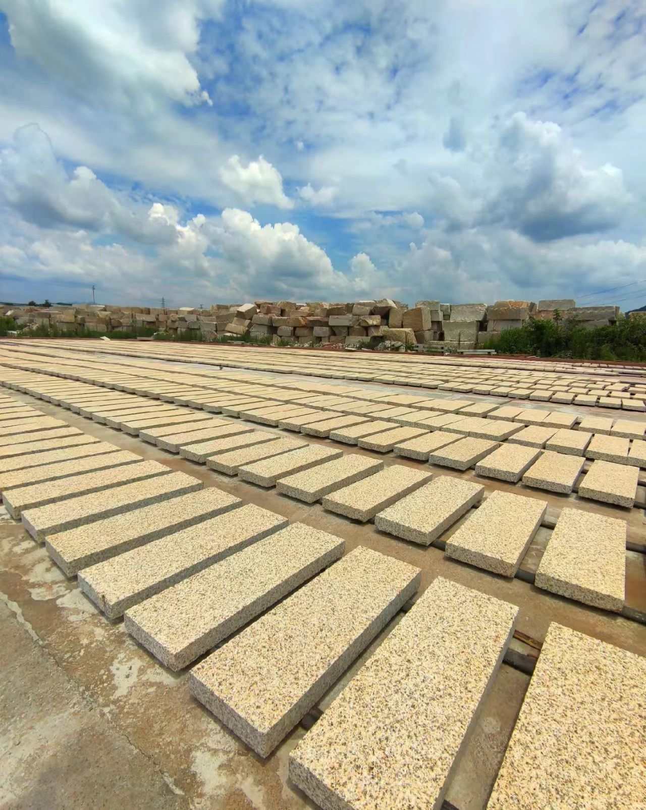 株洲 黄金麻花岗岩荔枝面地铺石防护中